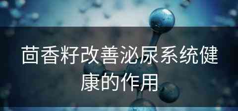 茴香籽改善泌尿系统健康的作用